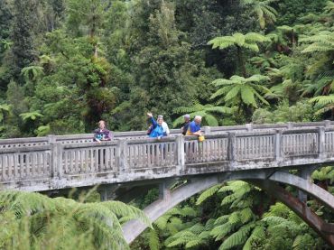 Whanganui National Park